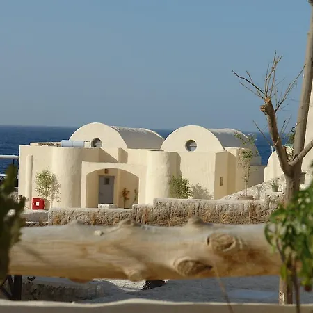 The Oasis Hotel