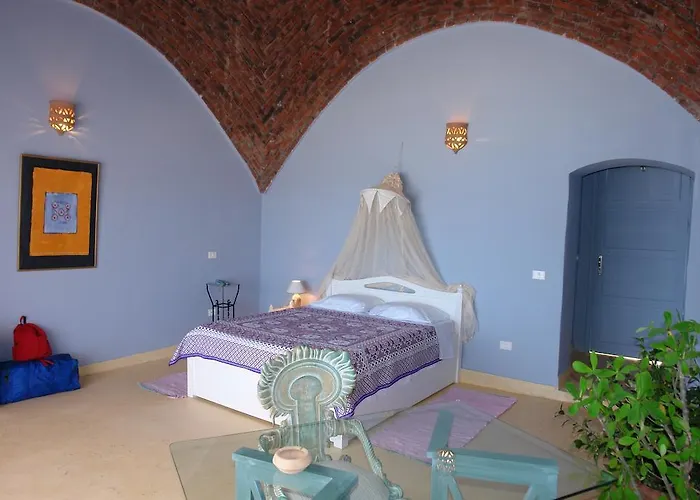 The Oasis