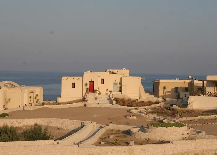 The Oasis 3*