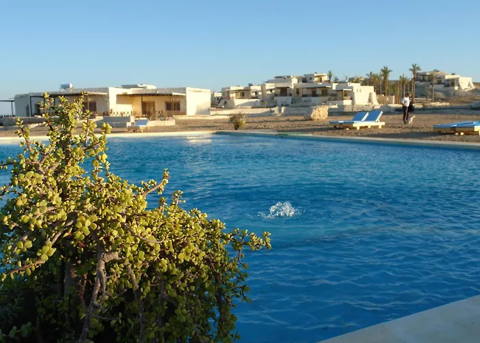 The Oasis 3*