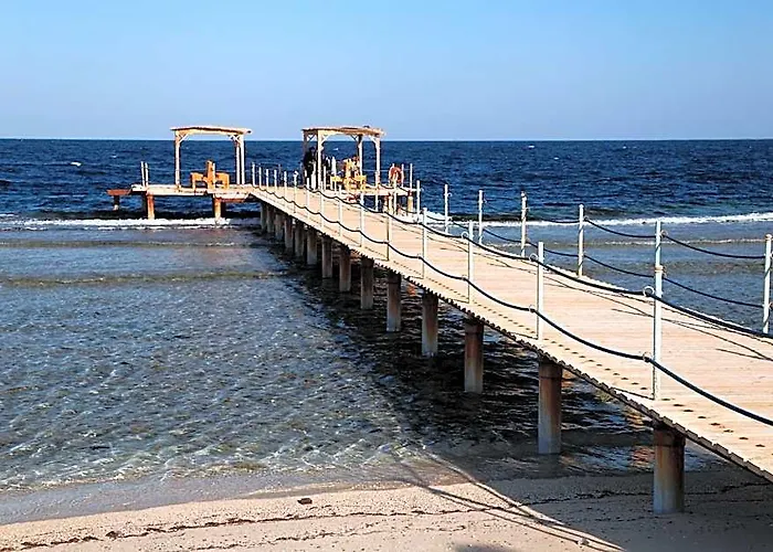 The Oasis Resort 3*
