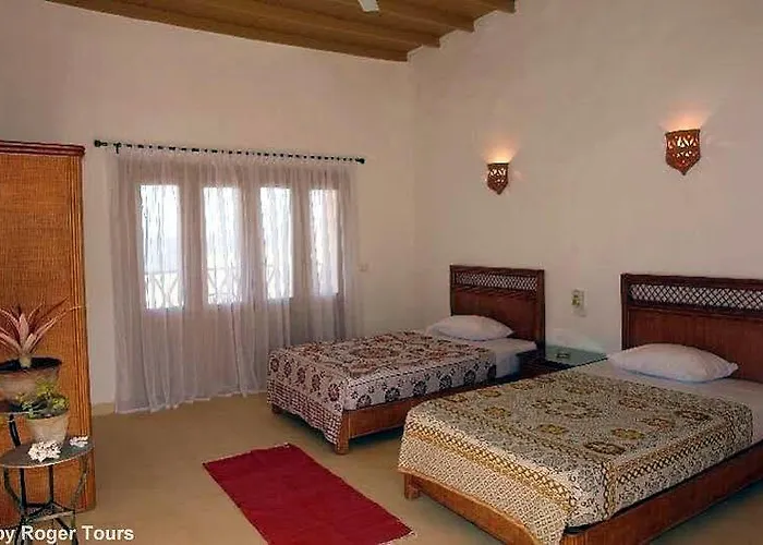 The Oasis Resort 3*